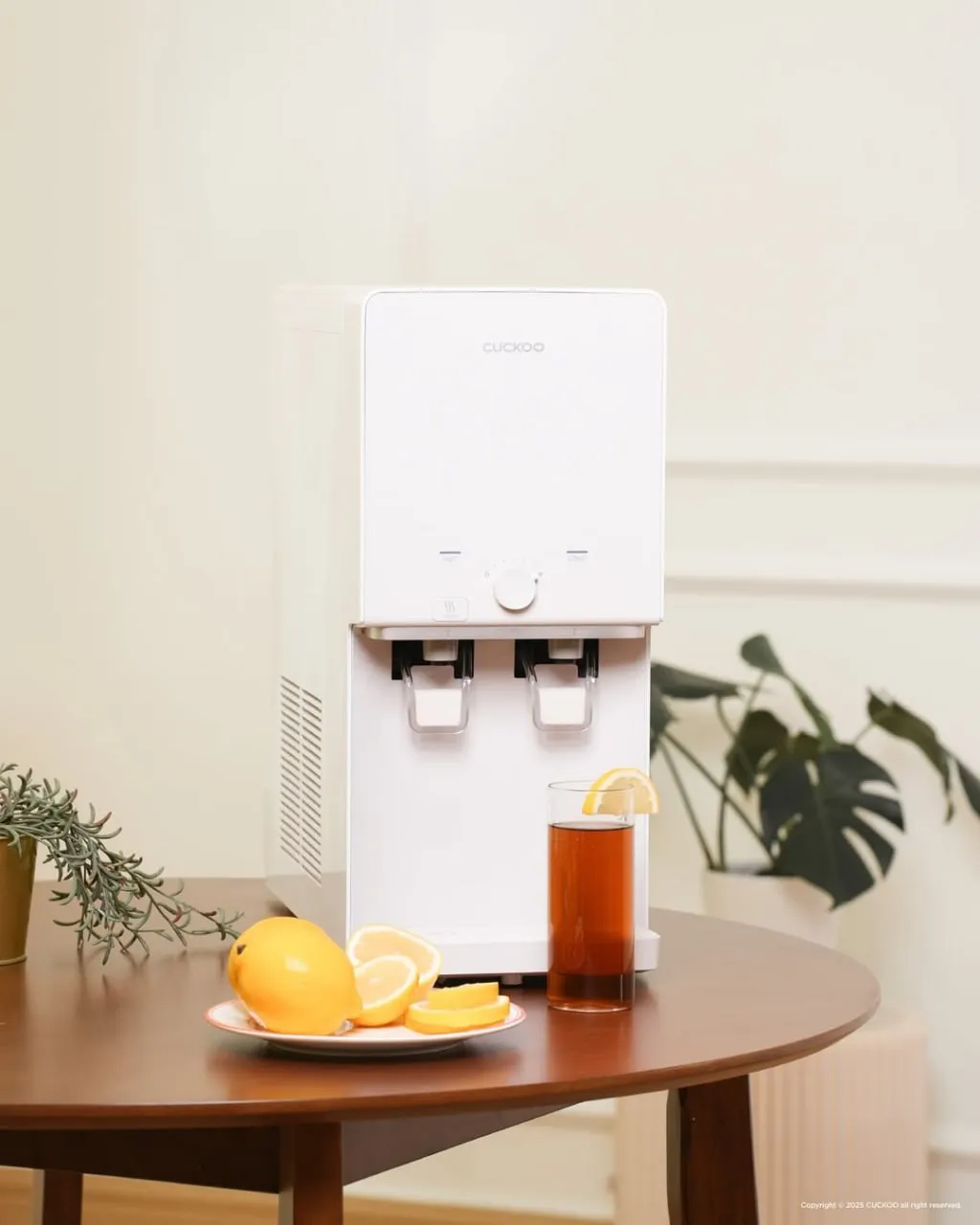 Mild Alkaline with Natural Mineral Water Purifier