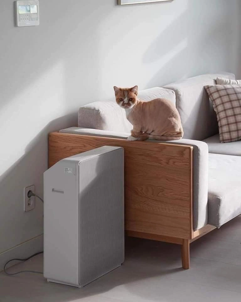 Medical Grade HEPA Air Purifier
